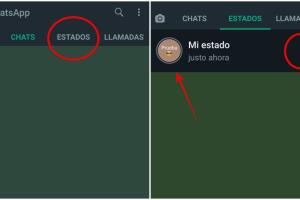 Collage WhatsApp 2.jpg