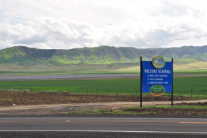 pistachio-avenal.png