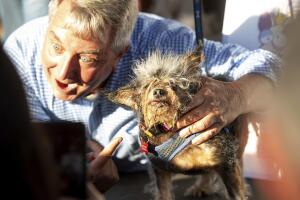 Worlds Ugliest Dog