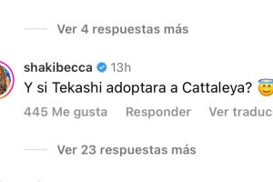 Rebeca Maiellano 'Shakibecca', la famosa doble venezolana de Shakira, también se preguntó si Tekashi pudiera "adoptar" a Cattleya. 

