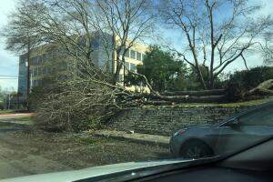 Tornados provocan daños a decenas de viviendas en San Antonio 