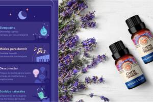 Headspace / Guru Nanda