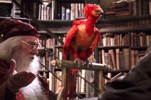 El fénix de Dumbledore Harry Potter errores y huecos Animales fantásticos.jpg