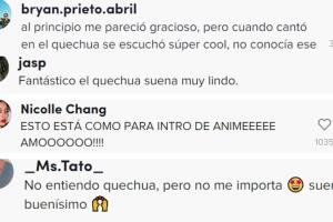 quechua_pop_collage.jpg