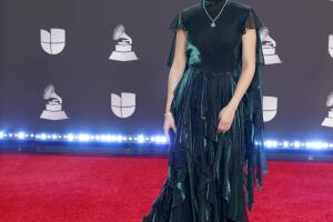 20th Annual Latin GRAMMY Awards - Arrivals