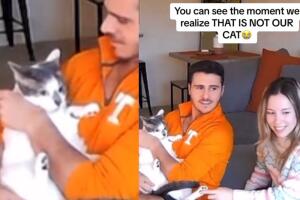 Hombre se equivoca de gato y lo mete a su casa, ¡y captaron el momento en el que se dio cuenta!