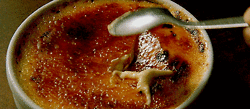 Creme Brulee