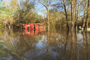 Deweyville, Texas se encuentra bajo el agua