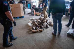 Convertidores catalíticos