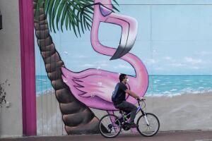 Virus Outbreak Florida