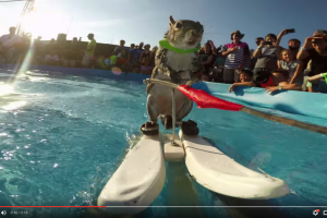 youtube-player-controls.png