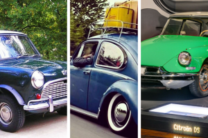 Untitled design (71).png