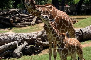 Fort Worth Zoo FB.jpg