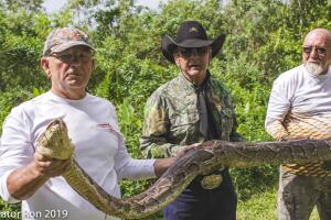Everglades Python/Python 2-5.jpg