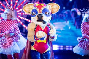 QELM 2024: gran final