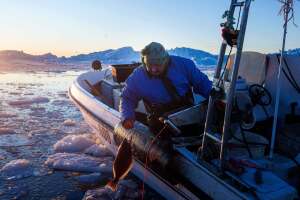 Greenland Climate Fishing