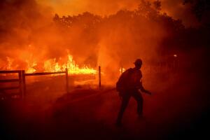 Un bombero corre para extinguir las llamas de Oak Fire que cruzaban la Darrah Rd, en el condado de Mariposa, California.