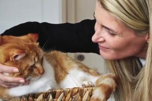 conversar-com-gato-0319-1400x800.jpg