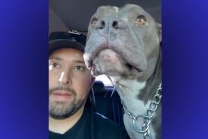 PERRO-PLASANT-GROVE.jpg