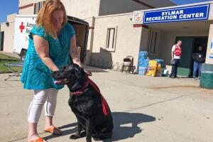California Wildfires