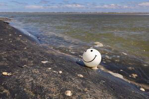 Immigration And Border Security Issues Loom Heavy In Upcoming U.S. Elections