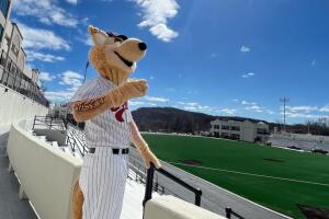 jackals nueva jersey feria de trabajo