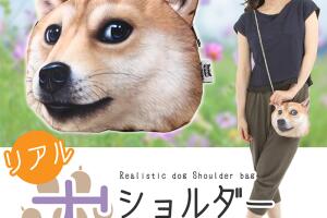 dodge-bag-4.jpg
