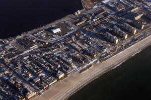 CONTRIBUTOR Archive 2010