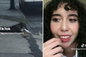 María Guadalupe Chávez Magaña contó en TikTok como un perro le "robó" su zapato