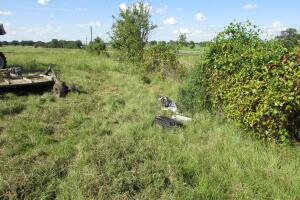 Los restos de una niña, de entre 3 y 5 años, aparecieron dentro de una maleta negra en un pastizal del condado Madison en Texas.