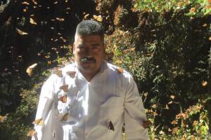 A través de Facebook, Homero Gómez compartía las actividades del santuario de la mariposa monarca en Michoacán, México