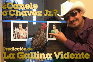 Canelo vs Chavez gallina