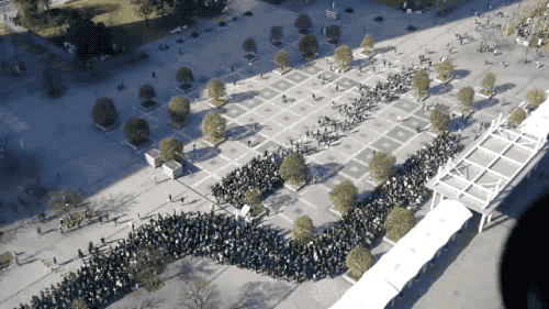 black-friday_multidao.gif