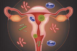 flora-vaginal-previne-hiv-2.jpg
