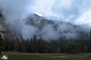 05.20_Yosemite_Park_3.jpg