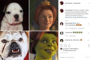 Fiona Derbez, perrita de Eugenio Derbez