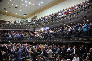 asamble_venezuela_ii.jpg