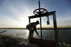 US Mexico Colorado River