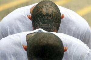 Mara Salvatrucha