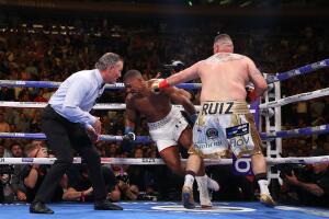 Anthony Joshua v Andy Ruiz Jr.