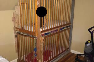 IMG-2567 (1) (3).jpg