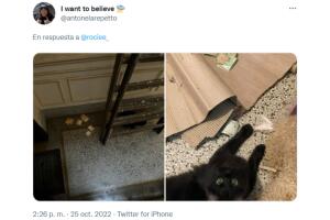 Antonela Repetto mostró pruebas fotográficas de los atracos a sus seguidores de Twitter