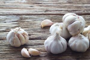 Garlic on the wooden background 