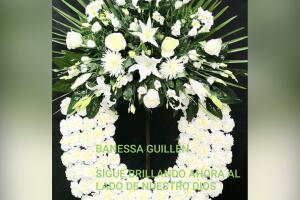 Reportalo Vanessa 12.jpg