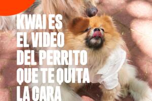kwai_imagen2_perro.jpg