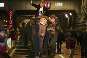 Elephant Procession Walks Through New York Tunnel