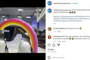 sphen y magic instagram.jpg