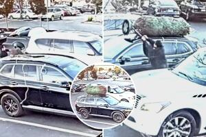 Una familia de San Mateo fue víctima de robo cuando su árbol de Navidad recién comprado fue sustraído por un individuo. El incidente, captado en video, ha generado preocupación en la comunidad. La policía está tomando medidas para evitar situaciones similares y el negocio reemplazó el árbol robado.