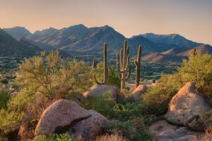 Pinnacle Peak Park as sun rises over cactus and hiking trails.