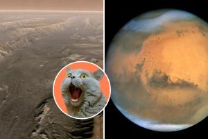 La NASA capta insólitas imágenes de suelo marciano: así se ve Marte con una de sus lunas